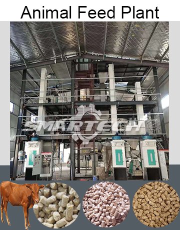 Animal Feed Plant